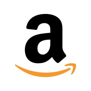 amazon overstock truckload 18 pallet wholesale lot